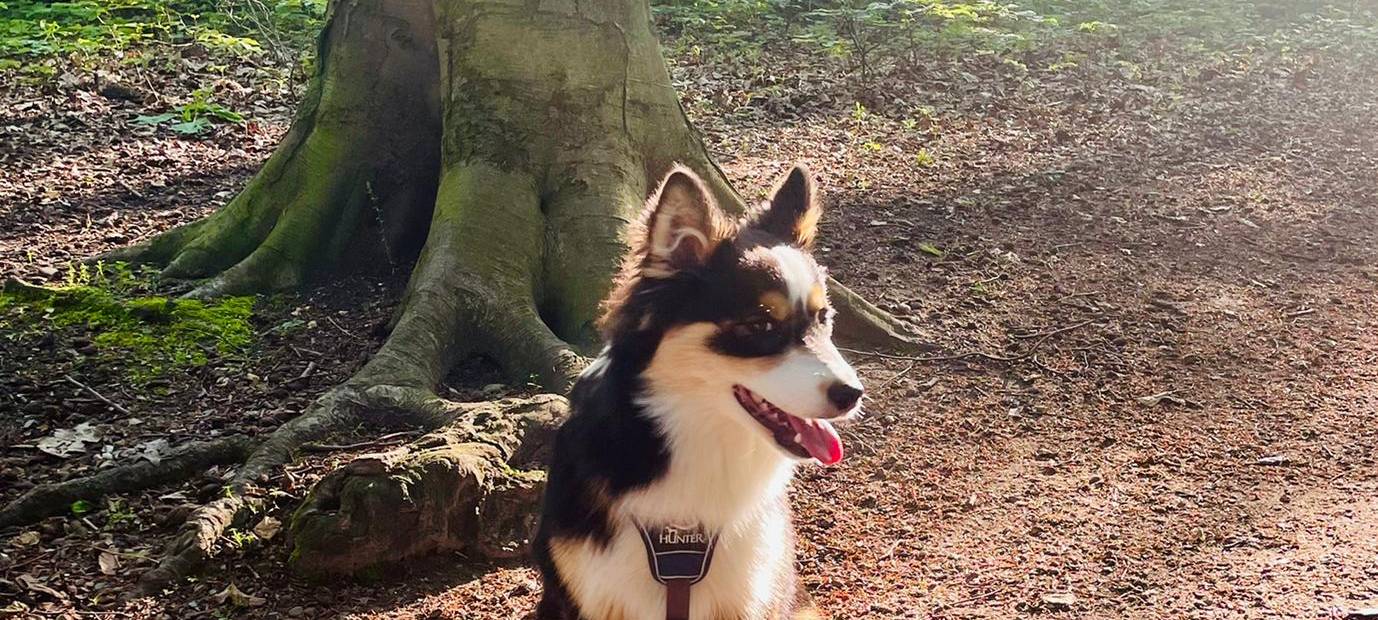 Tagebucheintrag vom 14. Juni 2021