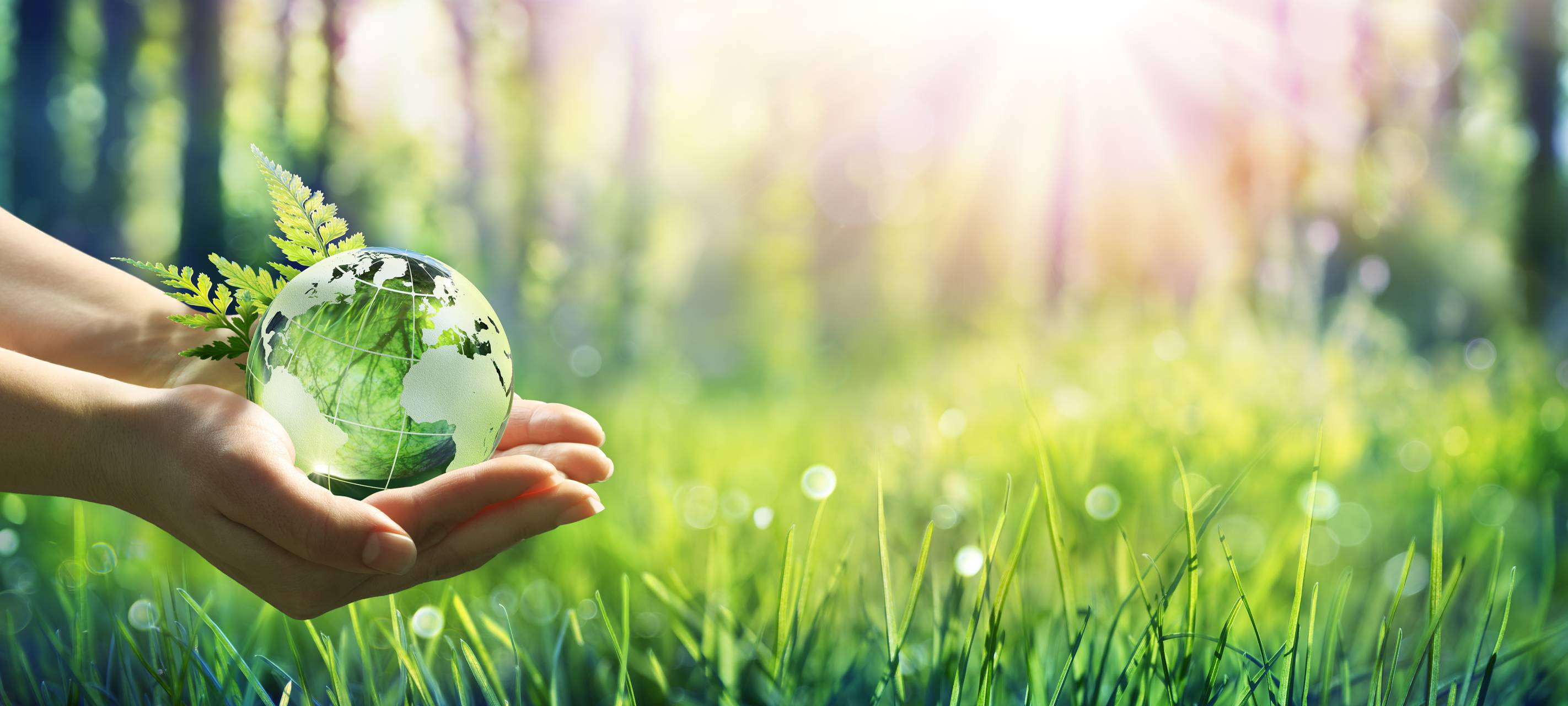 Düsseldorf: wenig nachhaltige Kleidung in Onlineshops