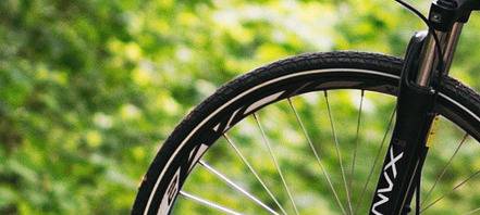 Ein Fahrradreifen von einem Mountainbike vor einem grünen Strauch