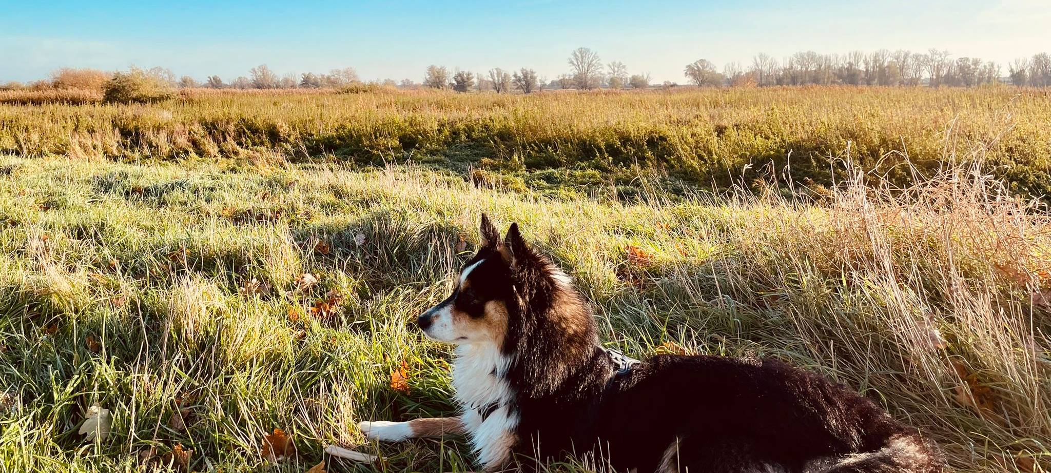 Tagebucheintrag vom 12. November 2021