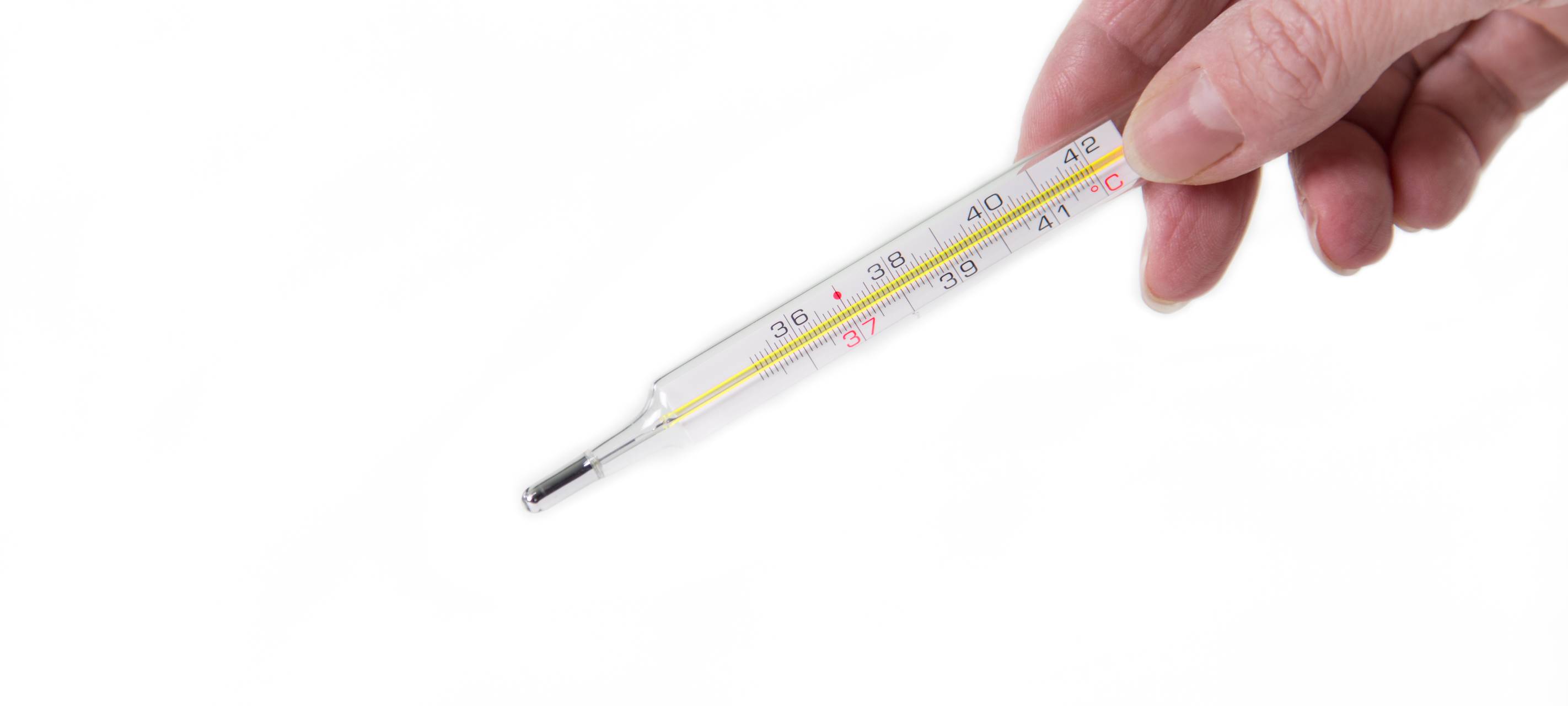 Düsseldorf: Video-Sprechstunden für über 1.000 Kinder