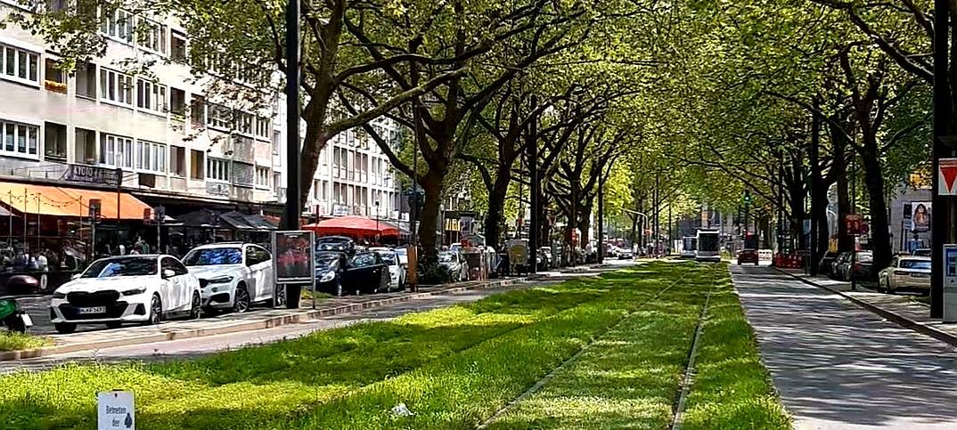 Begrünte Gleise auf der Immermannstraße.