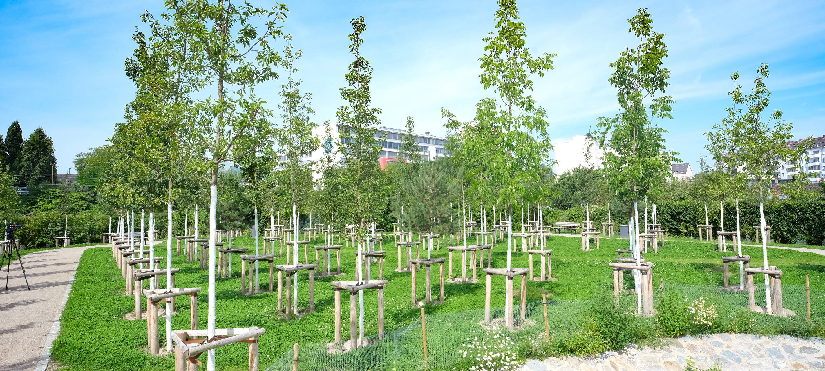 "Pocket-Park" in Düsseldorf-Flingern eröffnet