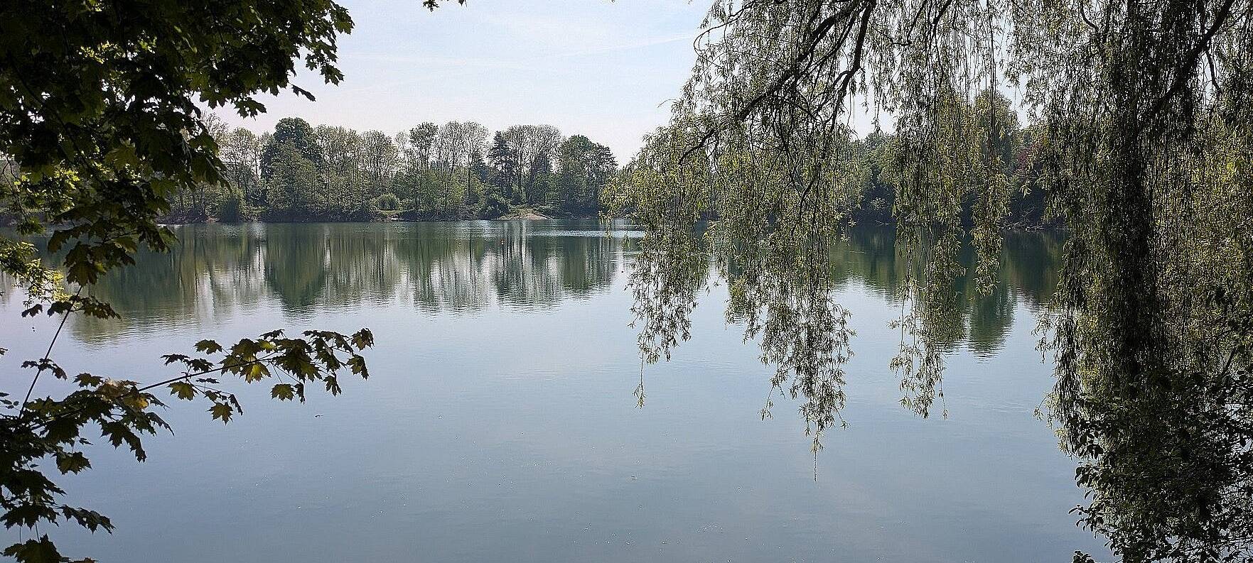 Blick auf den Unisee, auf dem die größte Photovoltaikanlage der HHU geplant ist.